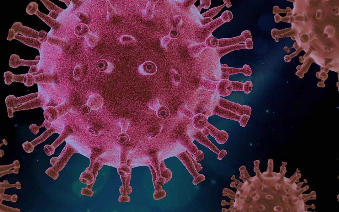 Koronawirus. Bezpieczeństwo w czasach "nowej normalności"