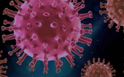 Koronawirus. Bezpieczeństwo w czasach “nowej normalności”